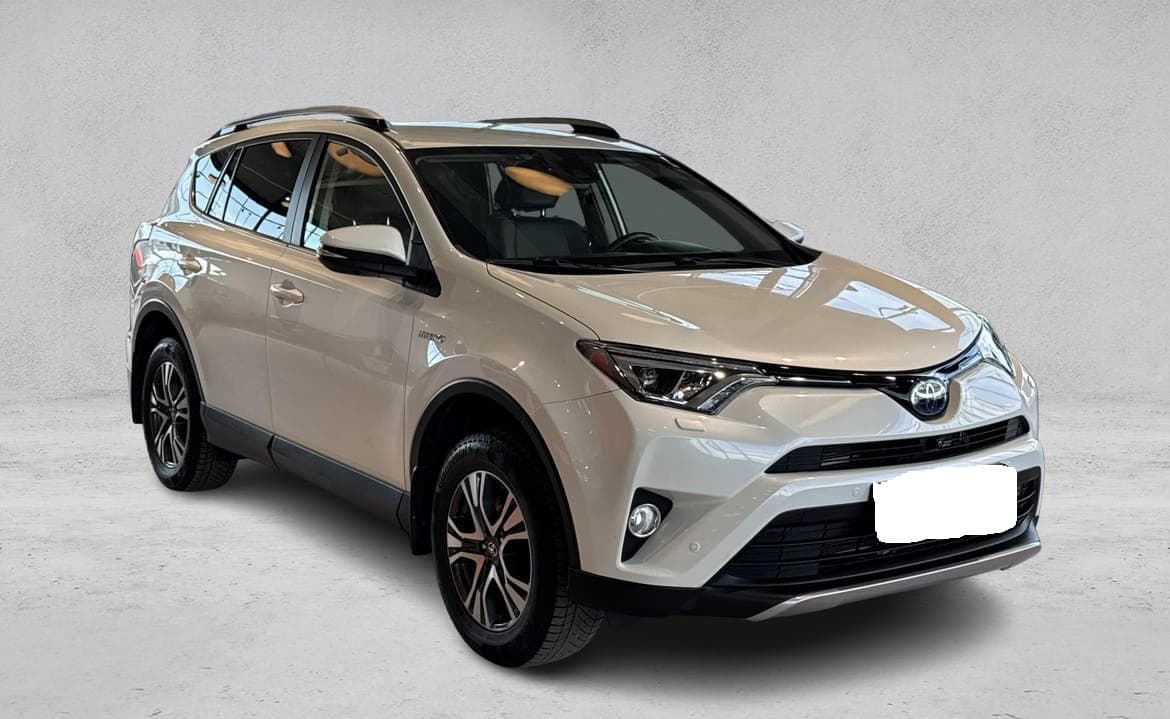 Toyota RAV miniature 3