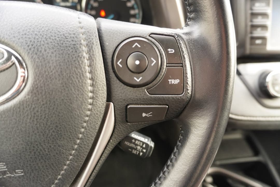 Toyota RAV miniature 10