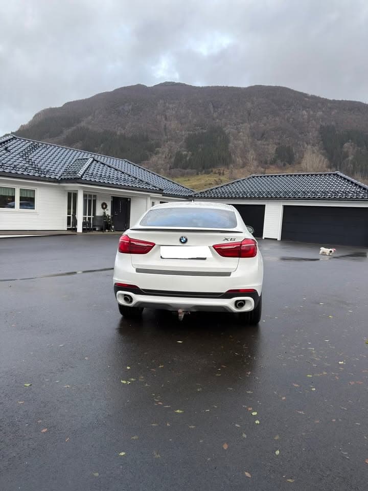 BMW X6 miniature 6